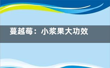 蔓越莓：小浆果大功效(蔓越莓 草莓)